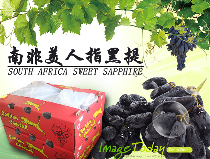金豹鮮果金豹牌進口水果批發南非無籽黑提美人指提子葡萄