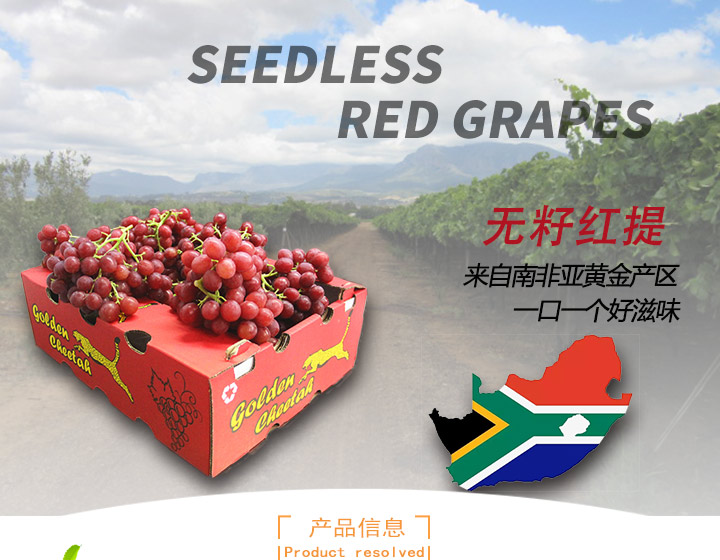 南非金豹Crimson无籽红提_01.jpg